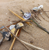 kleine schelpen